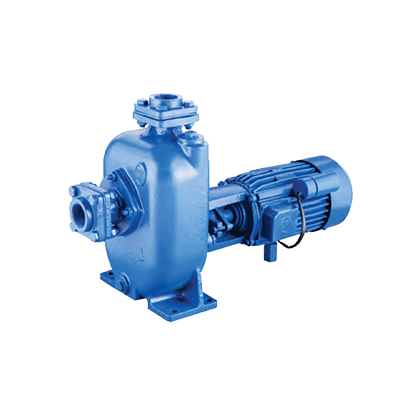<a href="/commercial-water-pumps-surface-wastewater-pumps/" class="custom-link" class="custom-link" id="jet-self-priming-link" >Surface Waste Water Pumps</a>