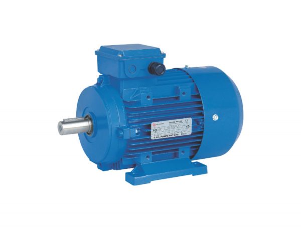 AC-Induction-Motor