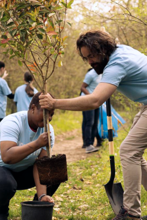 Frame 1321314966 (12)